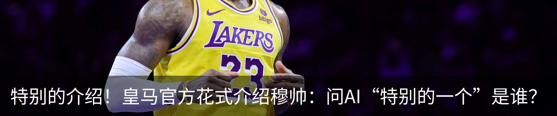 新闻动态